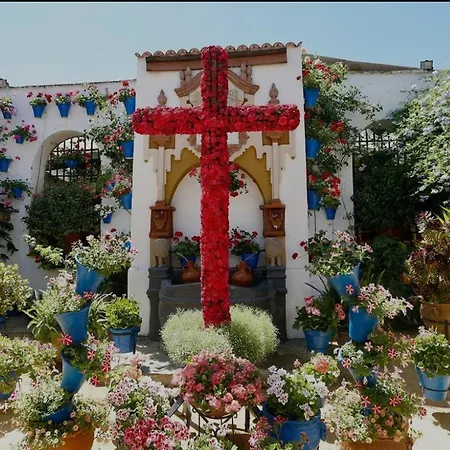 Apartmán Arenal Confort