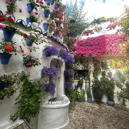 Apartmán Arenal Confort Córdoba